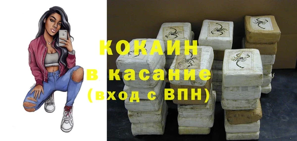 прущие грибы Иннополис