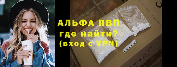 прущие грибы Иннополис