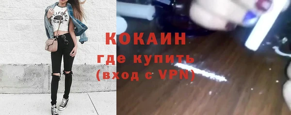 крисы Инсар