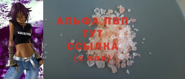 прущие грибы Иннополис