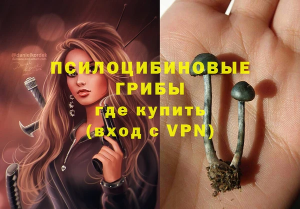прущие грибы Иннополис