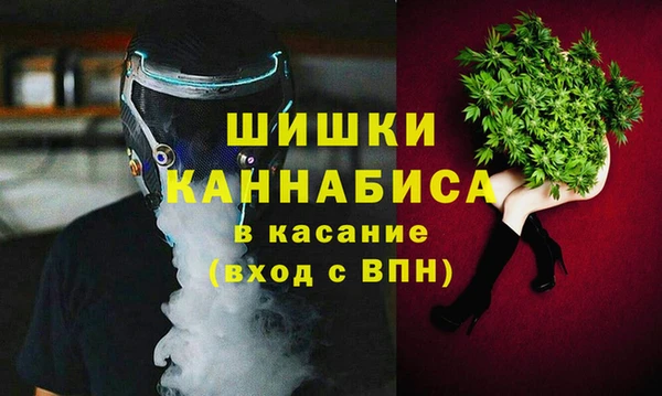 крисы Инсар