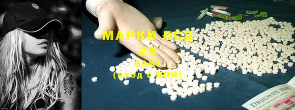 прущие грибы Иннополис