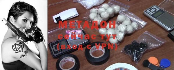 прущие грибы Иннополис