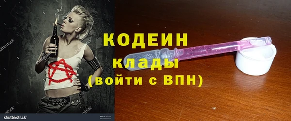 прущие грибы Иннополис