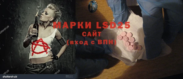 прущие грибы Иннополис